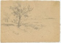 Baumreihe - WK:2090