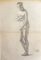 Campo lemini Venus - WK:1857