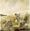 Schnitter - WK:1163