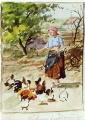 Frau füttert Hühner - WK:1108