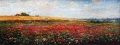 Reifes Ährenfeld (Klatschmohn) - WK:0001