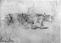 Jahrmarkt, Viehmarkt - WK:1637
