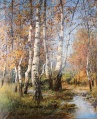 Birkenhain im Herbst - WK:0611