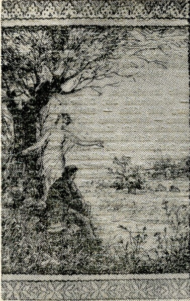 Datei:ART 0317 1.jpg