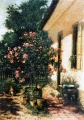Oleander im Pflanzkübel - WK:0250