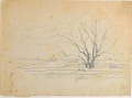 Weidenbaum am Wegrand - WK:2123