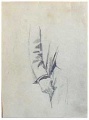 Handstudien - WK:2207