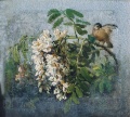 Akazienblüte und Vogel - WK:0600