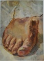 Hand-, Fuß- und Körperstudien - WK:1861