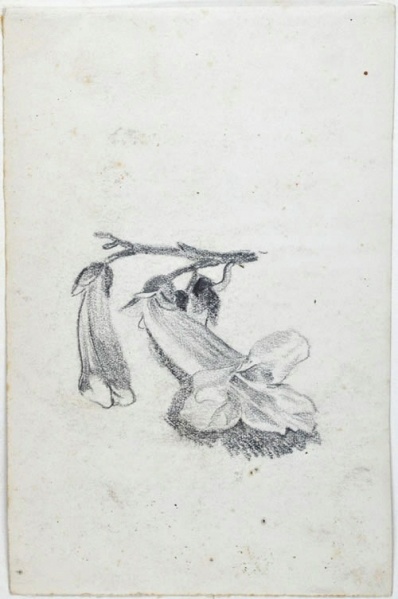Datei:WK 1885.jpg