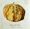 Zuckermelone - WK:1280