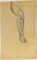 Beinstudie - WK:2204