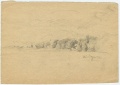Baumreihe, Weizenflur - WK:2150