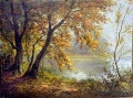 Herbst an der Marosch - WK:0413
