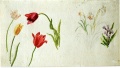 Tulpen - WK:1268