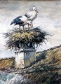 Storchennest - WK:0602