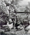 Hühnerhof - WK:0540
