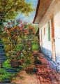 Oleander im Pflanzkübel - WK:1962