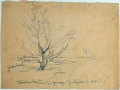 Weidenbaum im Grünen - WK:1880