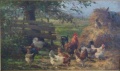 Hühnerhof - WK:2352