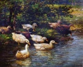 Enten am Teich - WK:1405