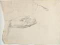 Handstudien - WK:2198