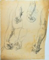 Handstudien - WK:1869